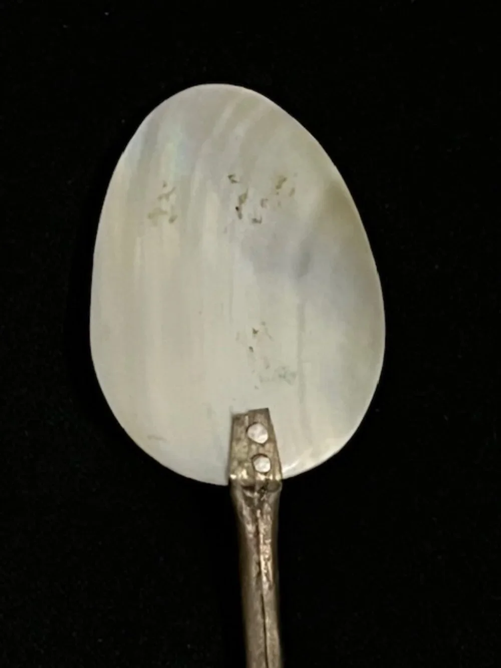 Vintage Mother of Pearl Caviar Serving Spoon Silverplate Sea Shell Handle